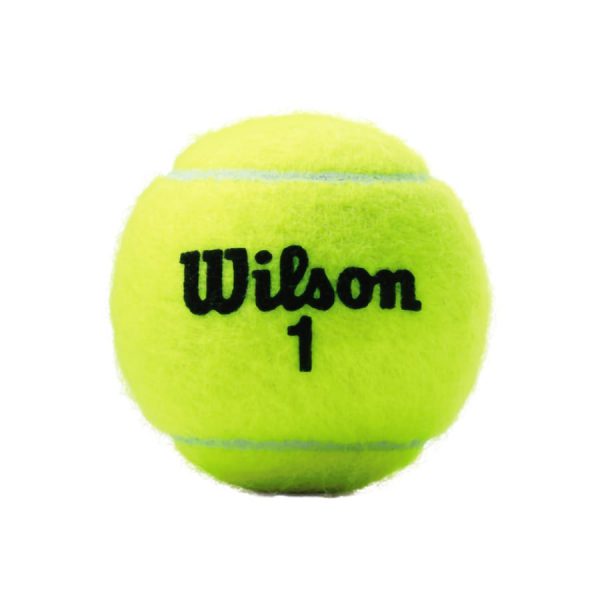 Bola de Tênis Wilson Championship Extra Duty